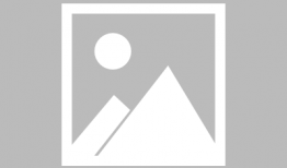 蝴蝶飞舞的视频,捕捉自然之美